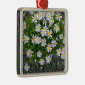 黄色の白いマルガリータの花と灰色の小石 メタルオーナメント (右)