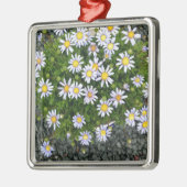 黄色の白いマルガリータの花と灰色の小石 メタルオーナメント (左)