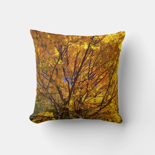 黄色の秋の葉 クッション (正面)
