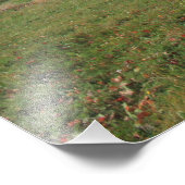 黄色の紅葉の風景画 フォトプリント            (角)