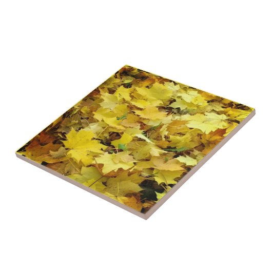 黄色の紅葉 タイル (側面)