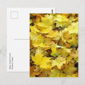 黄色の紅葉 ポストカード (正面/裏面)
