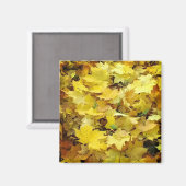 黄色の紅葉 マグネット (正面/裏面)