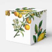 黄色の素朴レモンと葉の緑の結婚香り フェイバーボックス (裏面サイド)