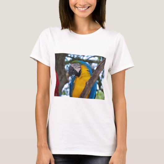 黄色の緑と青の熱帯性のマカオ Tシャツ (正面)