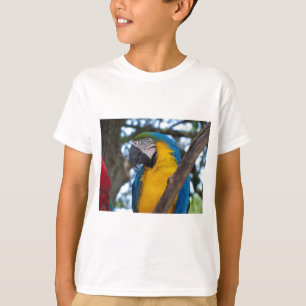 黄色の緑と青の熱帯性のマカオ Tシャツ