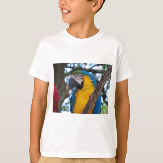 黄色の緑と青の熱帯性のマカオ Tシャツ (正面)