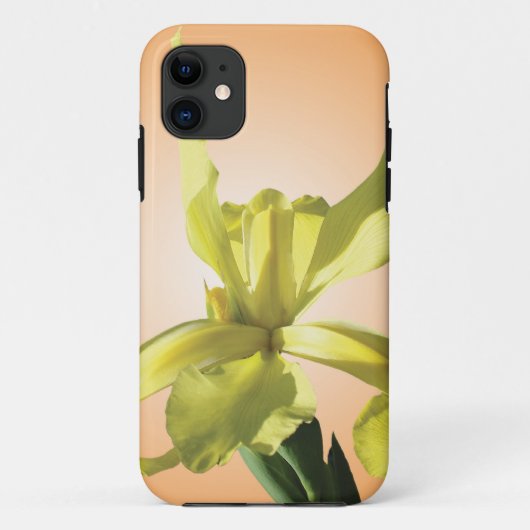 黄色の背景の黄色いアヤメの花。 Case-Mate iPhoneケース (裏面)