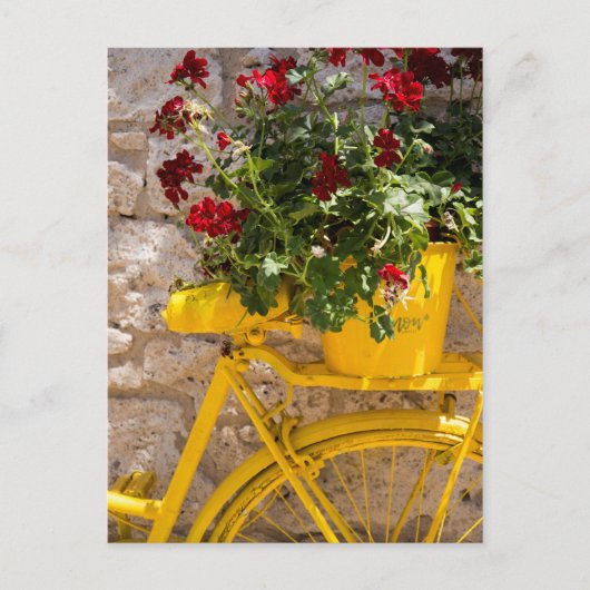 黄色の自転車 ポストカード (正面)