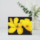 黄色の花のはがき ポストカード (スタンド正面)