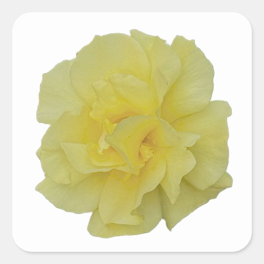 黄色の花のステッカー スクエアシール (正面)