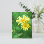 黄色の花のポストカード ポストカード (スタンド正面)