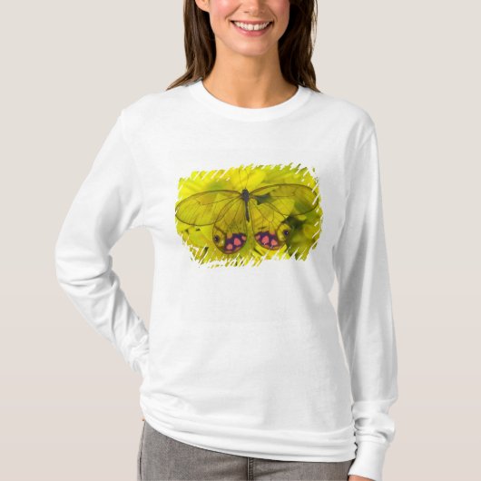 黄色の花の上の蝶 Tシャツ (正面)