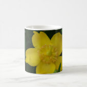 黄色の花の写真クラシック白マグカップ コーヒーマグカップ (中央)