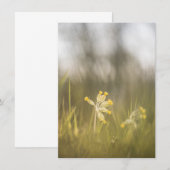 黄色の花の自然フォトカード (正面/裏面)