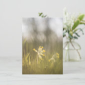 黄色の花の自然フォトカード (スタンド正面)