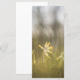 黄色の花の自然フォトカード