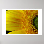 黄色の花びら ポスター (正面)