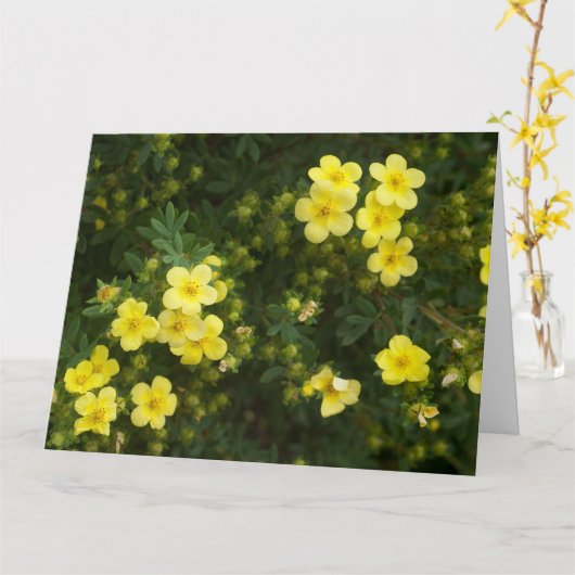 黄色の花カード カード (黄色い花)