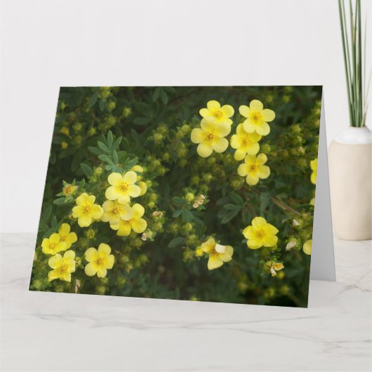 黄色の花カード カード (正面)
