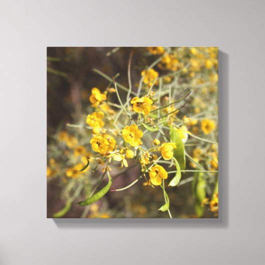 黄色の花キャンバスプリント キャンバスプリント (正面)