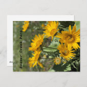 黄色の花クマ前輪 ポストカード (正面/裏面)