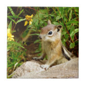 黄色の花チムンク タイル (正面)