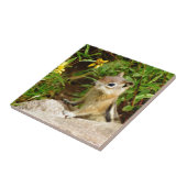 黄色の花チムンク タイル (側面)