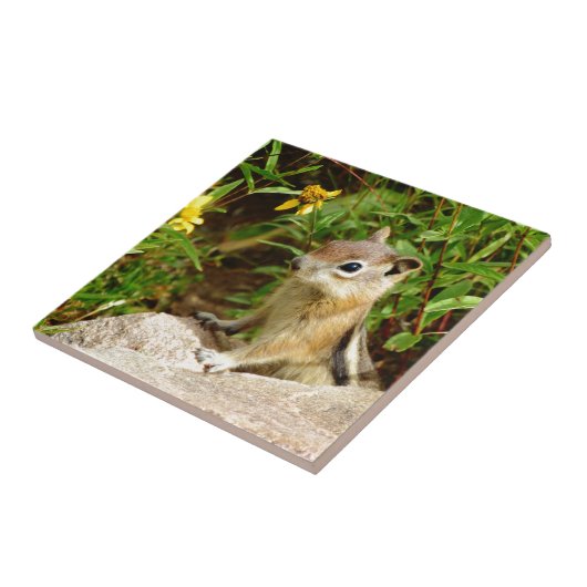 黄色の花チムンク タイル (側面)