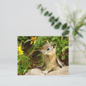 黄色の花チムンク ポストカード (スタンド正面)