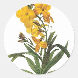 黄色の花ピエールジョセフレドゥーテ ラウンドシール