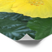 黄色の花写真 ポスター (角)