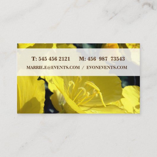 黄色の花写真、夏期名刺 名刺 (裏面)