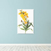 黄色の花（名前不明）ピエール・ジョセフ・レッドアウト キャンバスプリント (インサイチュ (ウッドフロア))