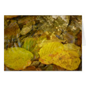 黄色の葉樺の木のストリーム (正面横)