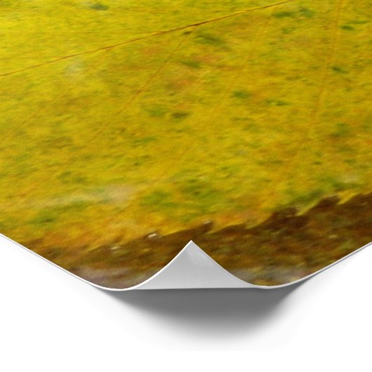 黄色の葉樺の木のストリーム ポスター (角)