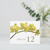 黄色の蘭のテーブル番号カード ポストカード (スタンド正面)