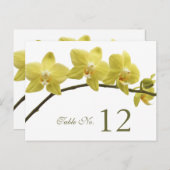 黄色の蘭のテーブル番号カード ポストカード (正面/裏面)