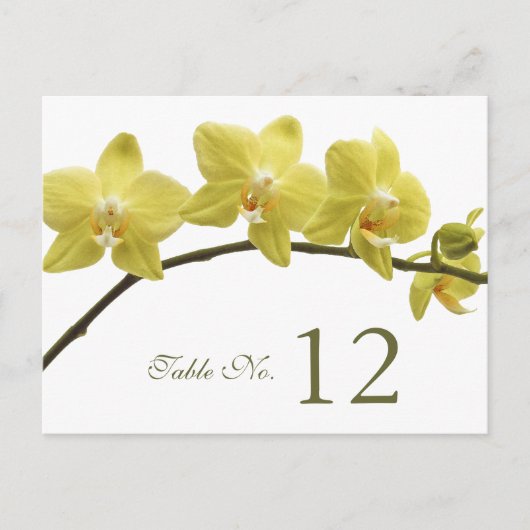 黄色の蘭のテーブル番号カード ポストカード (正面)