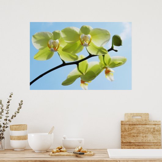 黄色の蘭 ポスター (キッチン)