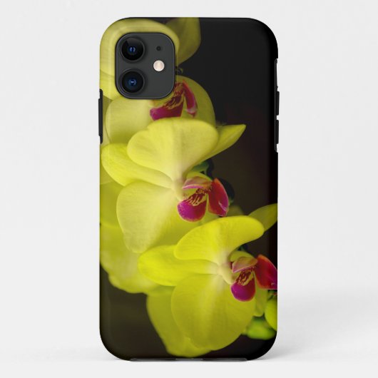 黄色の蘭 – iPhoneケース Case-Mate iPhoneケース (裏面)