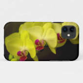 黄色の蘭 – iPhoneケース Case-Mate iPhoneケース (裏面(横))