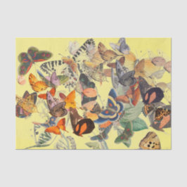 黄色の蝶ティッシュペーパー 薄葉紙