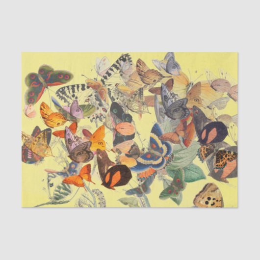 黄色の蝶ティッシュペーパー 薄葉紙 (正面)