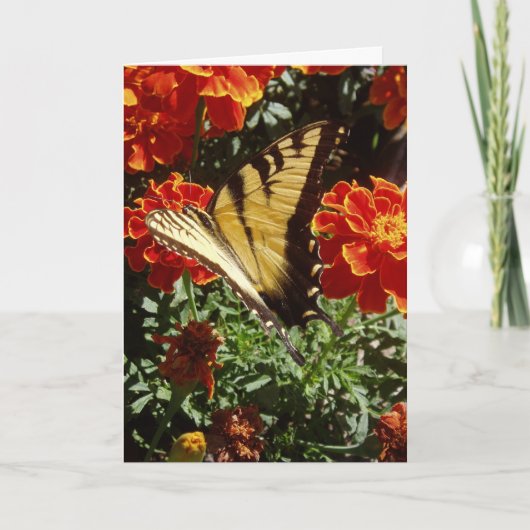 「黄色の蝶」イースターカード カード (正面)