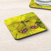 黄色の蝶 コースター (左側)
