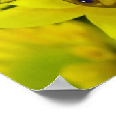 黄色の蝶 ポスター (角)