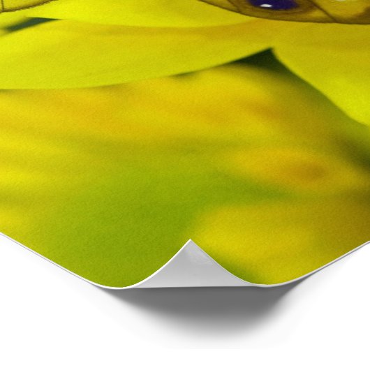 黄色の蝶 ポスター (角)