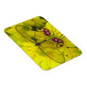 黄色の蝶 マグネット (右側)