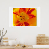 黄色の赤いチューリップマクロ写真 ポスター (キッチン)